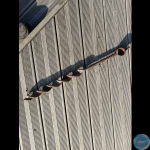 Talonpoikais puupora